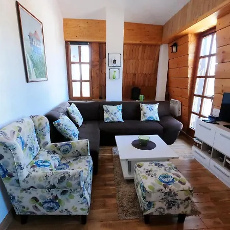 Nancy Appartement Vlasic