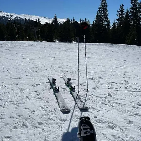 Nancy Appartement Vlasic